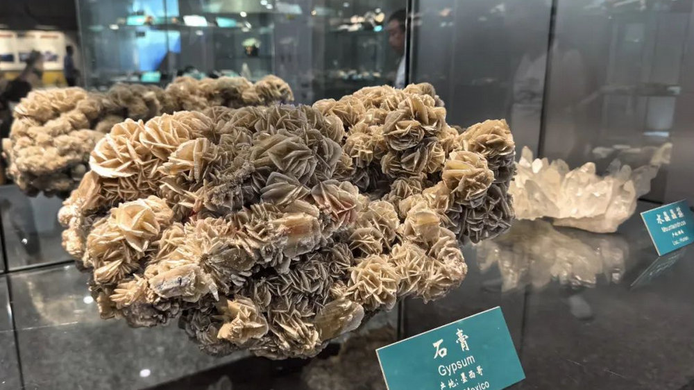 黑龙江省地质博物馆