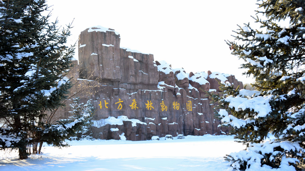 北方森林动物园