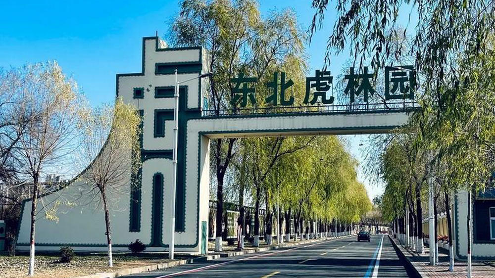 东北虎林园