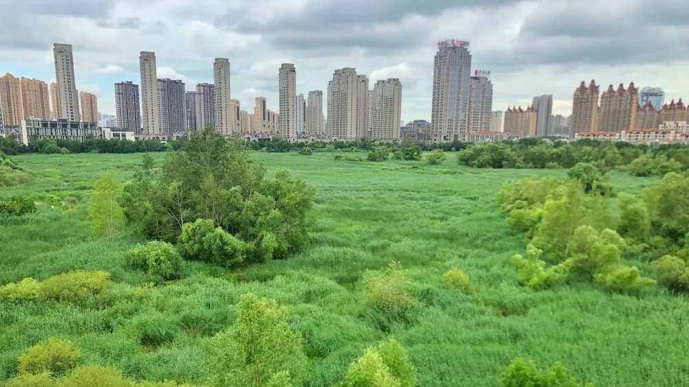 群力国家城市湿地公园