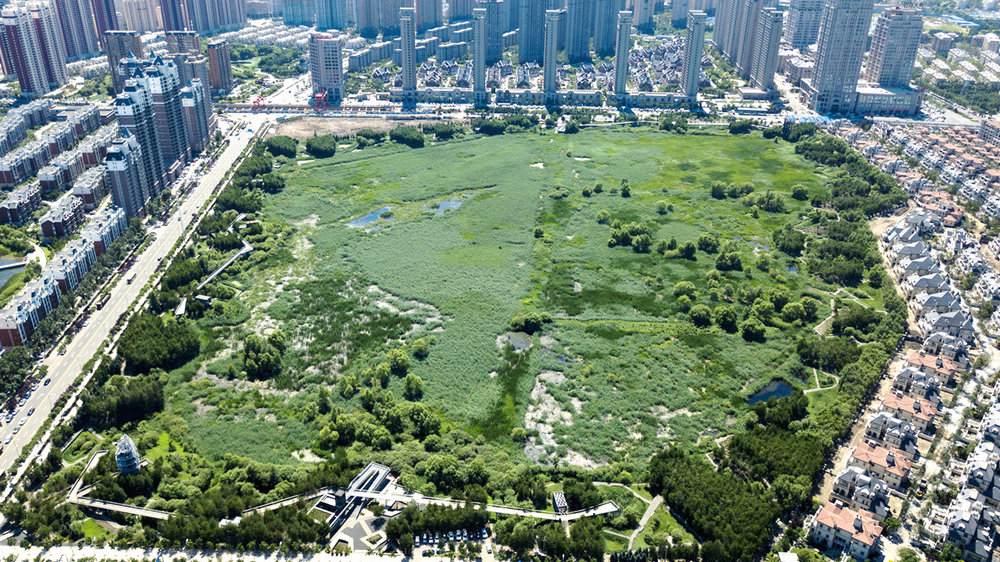 群力国家城市湿地公园