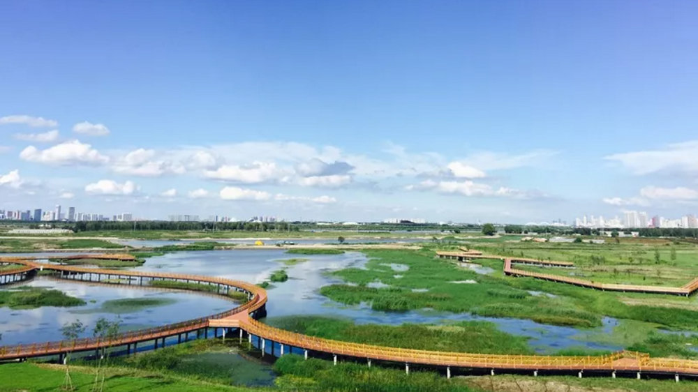 群力外滩生态湿地公园
