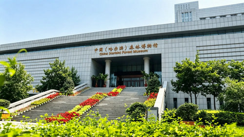 中国（哈尔滨）森林博物馆