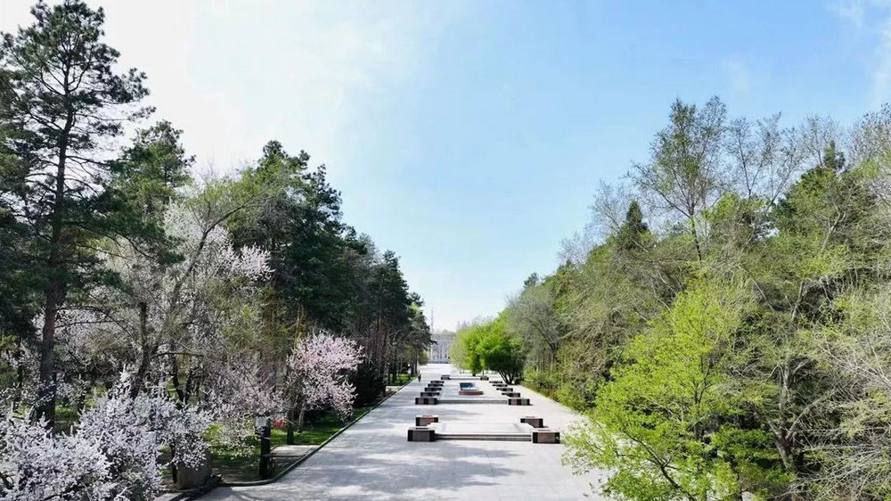 黑龙江省森林植物园