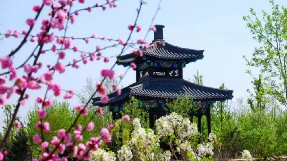 中国亭园