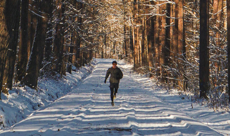 冬天早晨vs晚上什么时候更适合跑步？核心是你的需求~